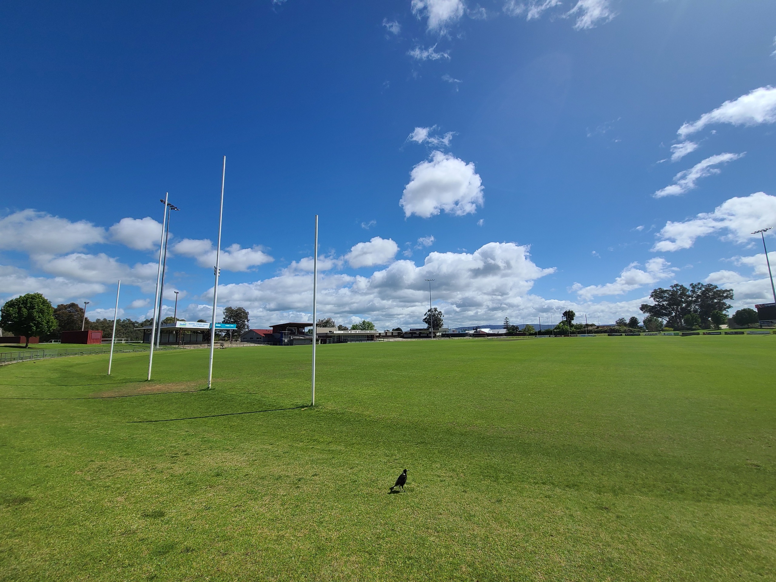 Draft Martin Park Master Plan 2023 Make Wodonga Yours